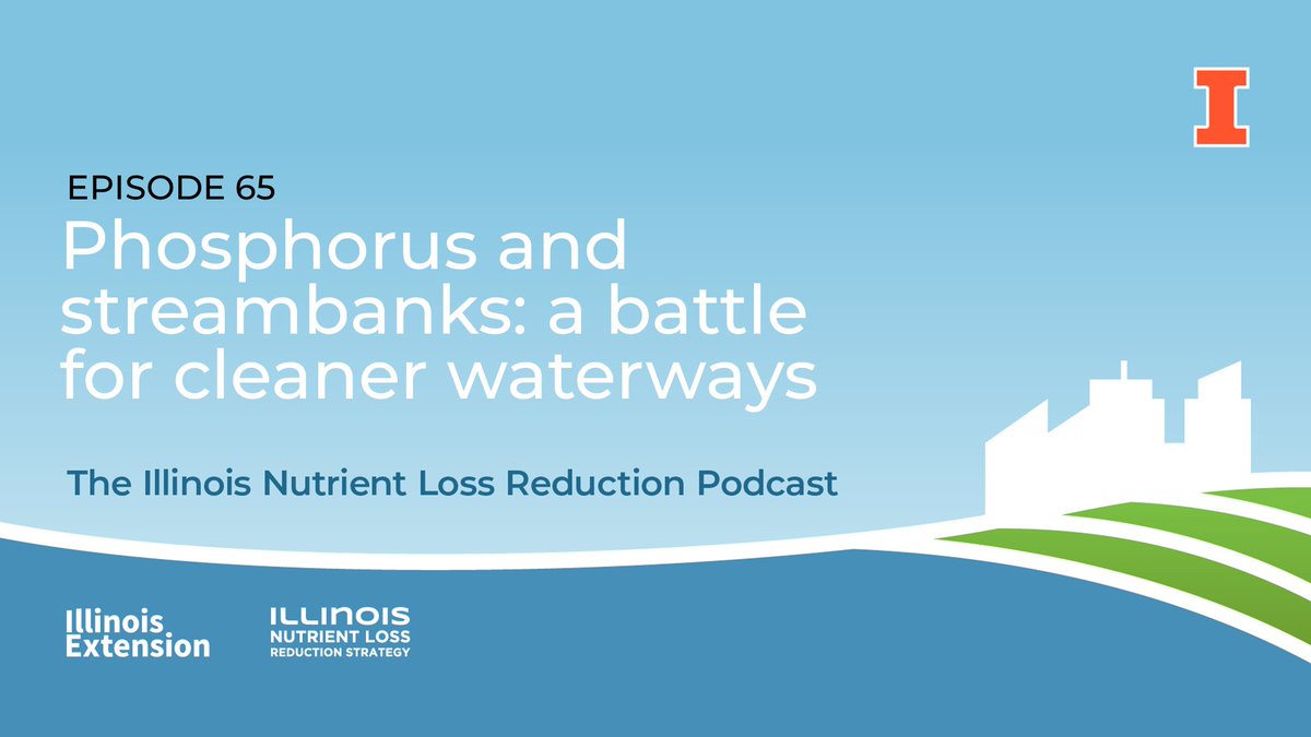This episode examines the importance of #StableStreambanks in keeping #IllinoisWaterways clean &amp; #ProtectingFarmland. 

Listen: 
extension.illinois.edu/podcasts/illin…

Read about this topic:
extension.illinois.edu/blogs/nutrient…

Partners: <a href="/ILEPA/">Illinois EPA</a> <a href="/ILAgriculture/">IL Department of Ag</a> <a href="/ILextension/">Illinois Extension</a> 
Featuring: <a href="/IllinoisCropSci/">Crop Sciences</a>