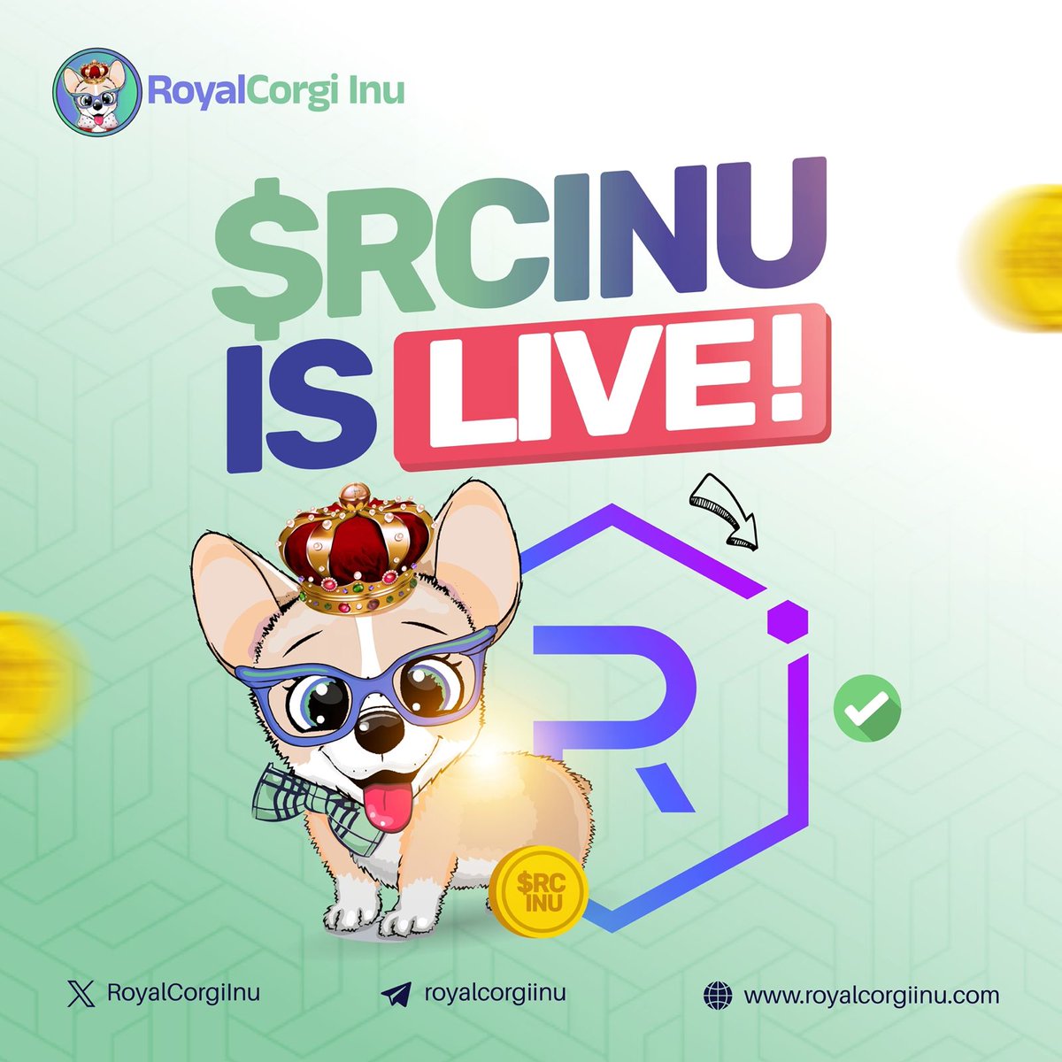 Royal Corgi Inu | $RCINU tweet media