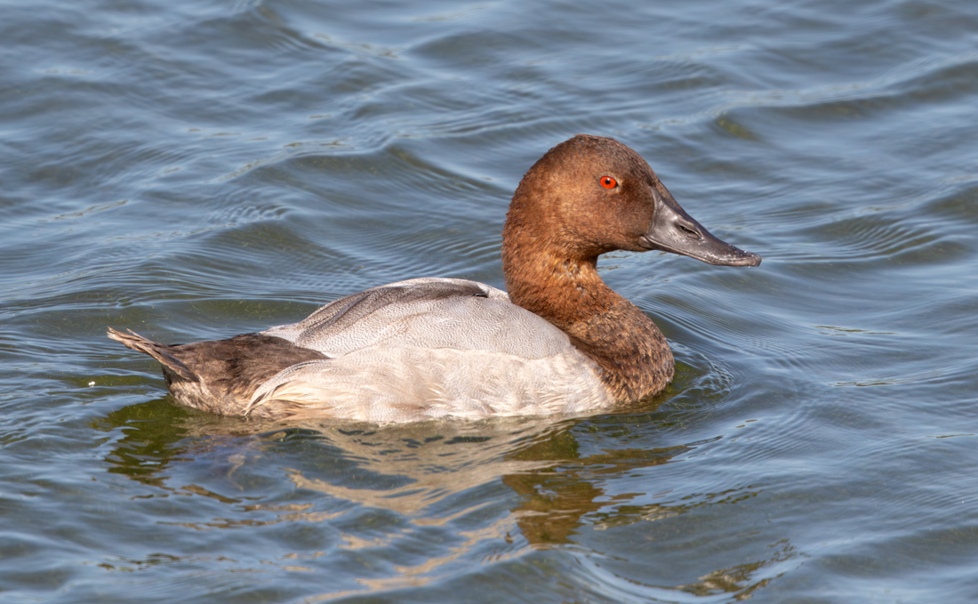 Sean Nixon tweet media