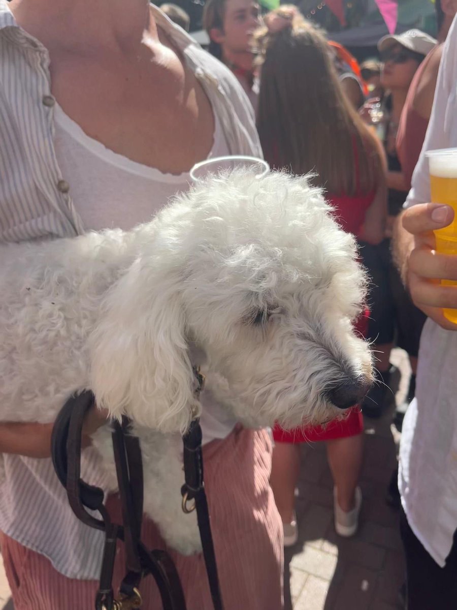 Samphire Films tweet media