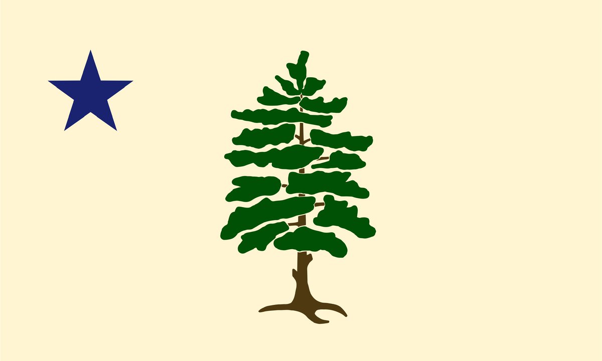 1901MaineFlag's tweet photo. My #Maine Flag Submission:
Only four colors
Tried to blend modern with realistic Eastern White Pine
16 perfectly distinct branches 
Easier to “sew”
Branches purposely drawn to invoke Maine icons
Two cut limbs reflecting history
Alignment 

@flagstudies @shennabellows https://t.co/5HmujQaVle