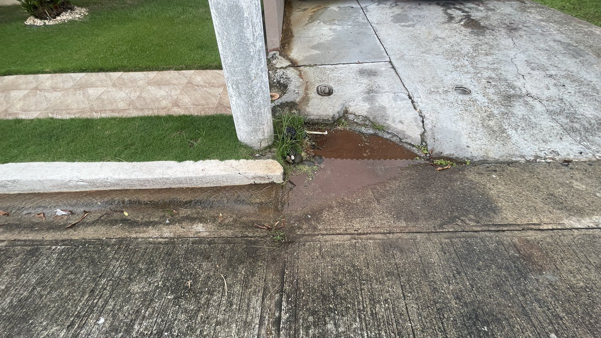 dimasarmando29's tweet photo. Tubería rota en villas de camino real SAN Antonio calle Herrera hace meses  @IDAANinforma @BrisasdelGolf @vecinosdebrisas @AltosDLPraderas https://t.co/D85BquJcfL