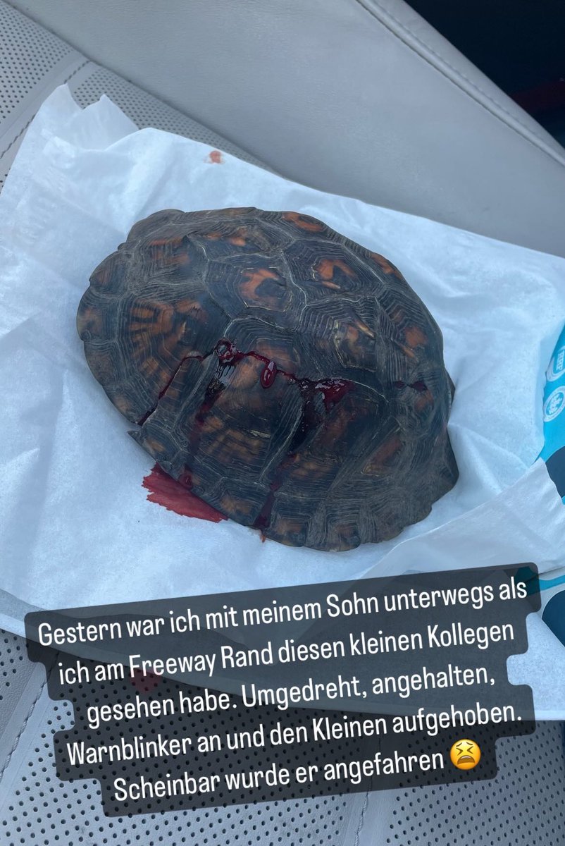 Marvin California tweet media