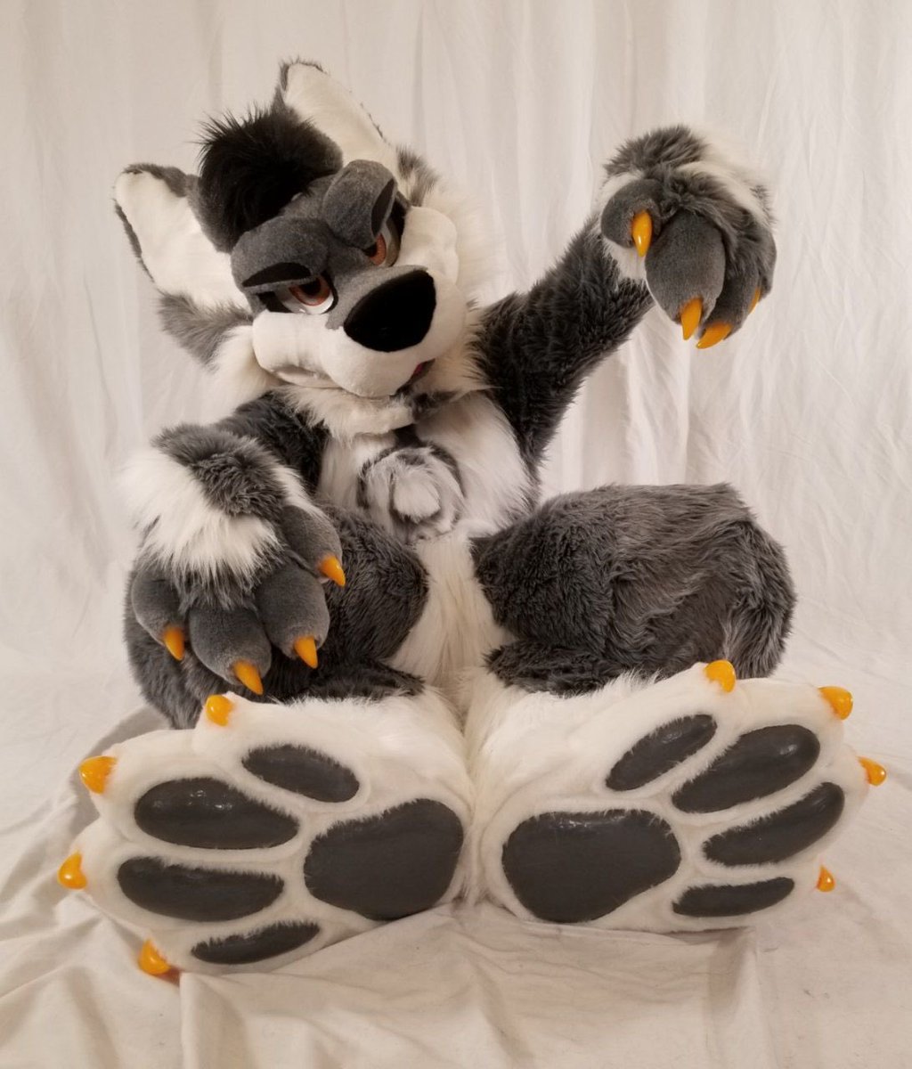 Advertise your account using only a picture of you paws