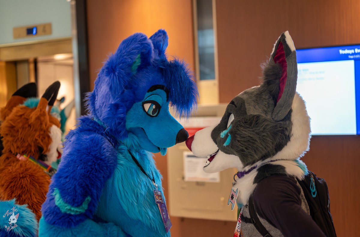 RylieπCF (@ryliethecollie) on Twitter photo Sniff sniff sniff sniff, I found big tall doggo
πΆ <a href="/AoiHasukii/">π©΅π Sapphire Husky ππ©΅</a>
π· <a href="/ArcticWindPhoto/">Arctic Winds Photos</a>
#CanFUR2024 Sniff sniff sniff sniff, I found big tall doggo
πΆ <a href="/AoiHasukii/">π©΅π Sapphire Husky ππ©΅</a>
π· <a href="/ArcticWindPhoto/">Arctic Winds Photos</a>
#CanFUR2024
