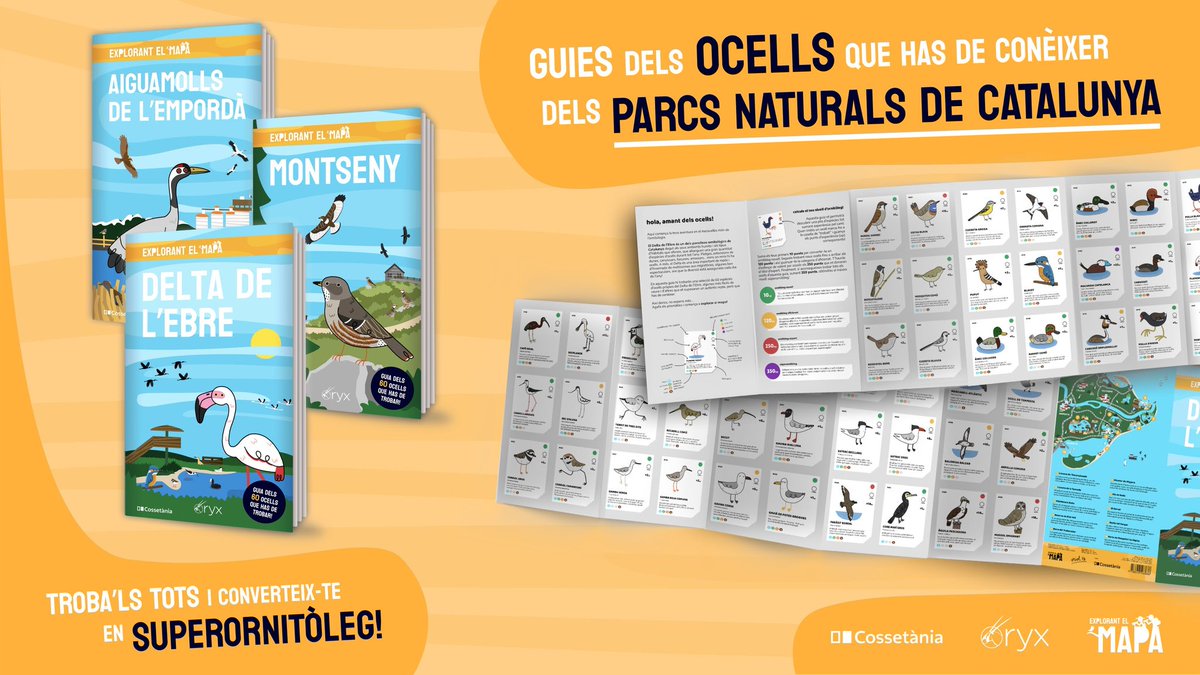 explorant el mapa 🗺️ tweet media