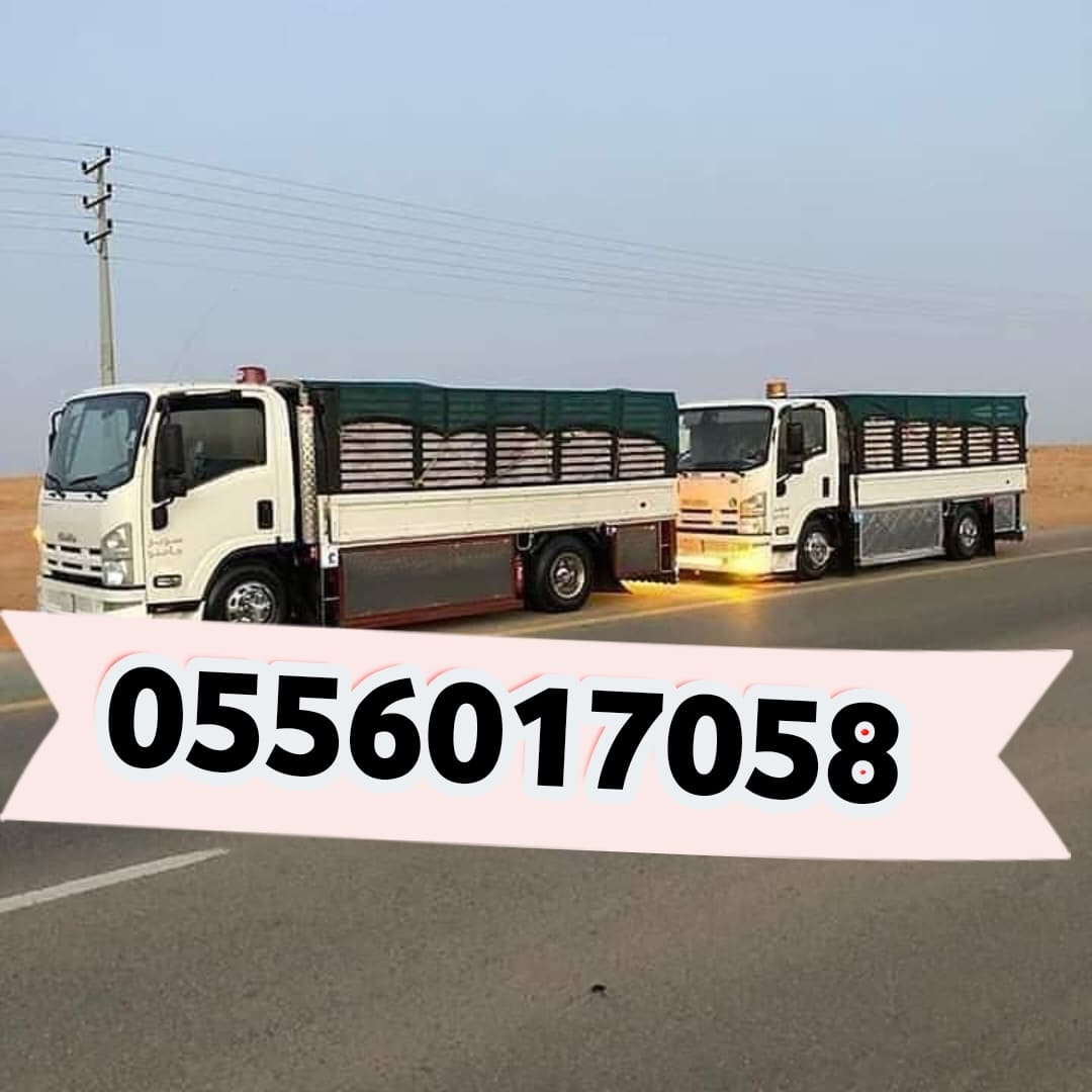 طش الاثاث القديم اوالتخلص من هو بالرياض
حقين الأثاث المستعمل نشتري جميع انواع الأثاث المستعمل  حي اليرموك المونسيه🍁 الخليج🍁 الرمال🍁 الريان🍁 السلام🍁 السعاده🍁 إشبيلية المنار🌺 الحمراء غرناطه قرطبة🌺 القادسيه القدس🌷 الواحه🌹نشتري جميع 0556017058
#ولي_العهد_يستقبل_المواطنين