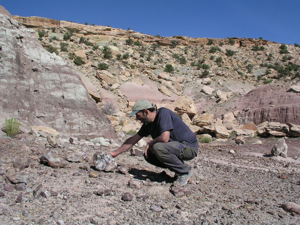 <a href="/SrParamo/">A Paramo</a> <a href="/MuPaclm/">Museo de Paleontología de Castilla-La Mancha</a> <a href="/culturaenclm/">Cultura Castilla-La Mancha</a> <a href="/Godzillin/">El Cuaderno de Godzillin (GBE-UNED)</a> <a href="/divulgaUNED/">UCC UNED</a> <a href="/PD_Mocho/">Pedro Mocho 🏳️‍🌈🦕</a> 3/3 Se publica en <a href="/NatGeo/">National Geographic</a> un reportaje sobre Gnatalie: How to bring a 75-foot-long dinosaur back to life nationalgeographic.com/history/articl… 
#Dinosaurios #saurópodos del #Jurásico Superior de la #Morrison Fm
#nosconocemosdesde2007