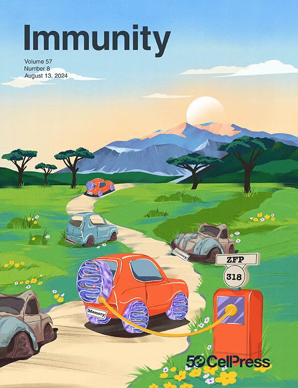 Qi_Tsinghua's tweet image. To capture the essence of our ZFP318/memory story in a cover art piece for @ImmunityCP