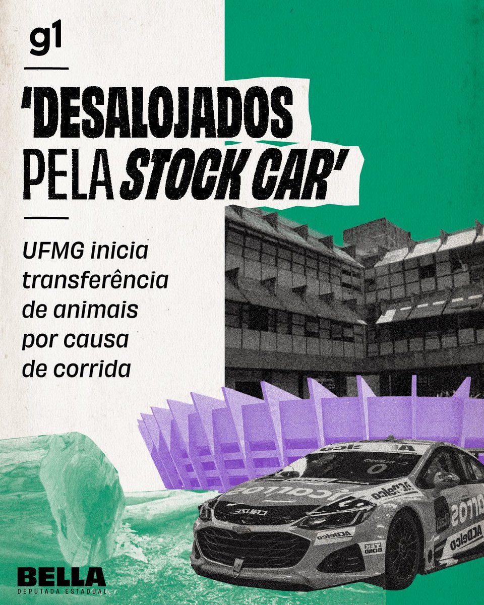 bellagoncalvs's tweet photo. E nesta semana começa a StockCar. A despeito da nossa universidade federal, do meio ambiente e das pessoas. Passaram por cima mesmo. Os danos já são reais. Quem não dialoga com a universidade jamais construirá uma cidade desenvolvida.

https://t.co/vxS8vyIelF https://t.co/WBavF19RPr