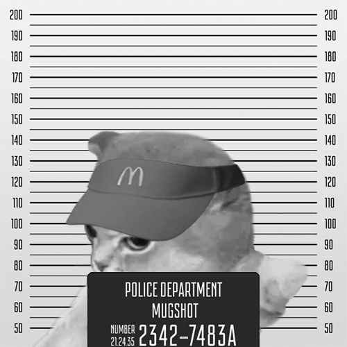 macnsol's tweet photo. convicto $MAC

also a cat https://t.co/MMZkkI5Y6d