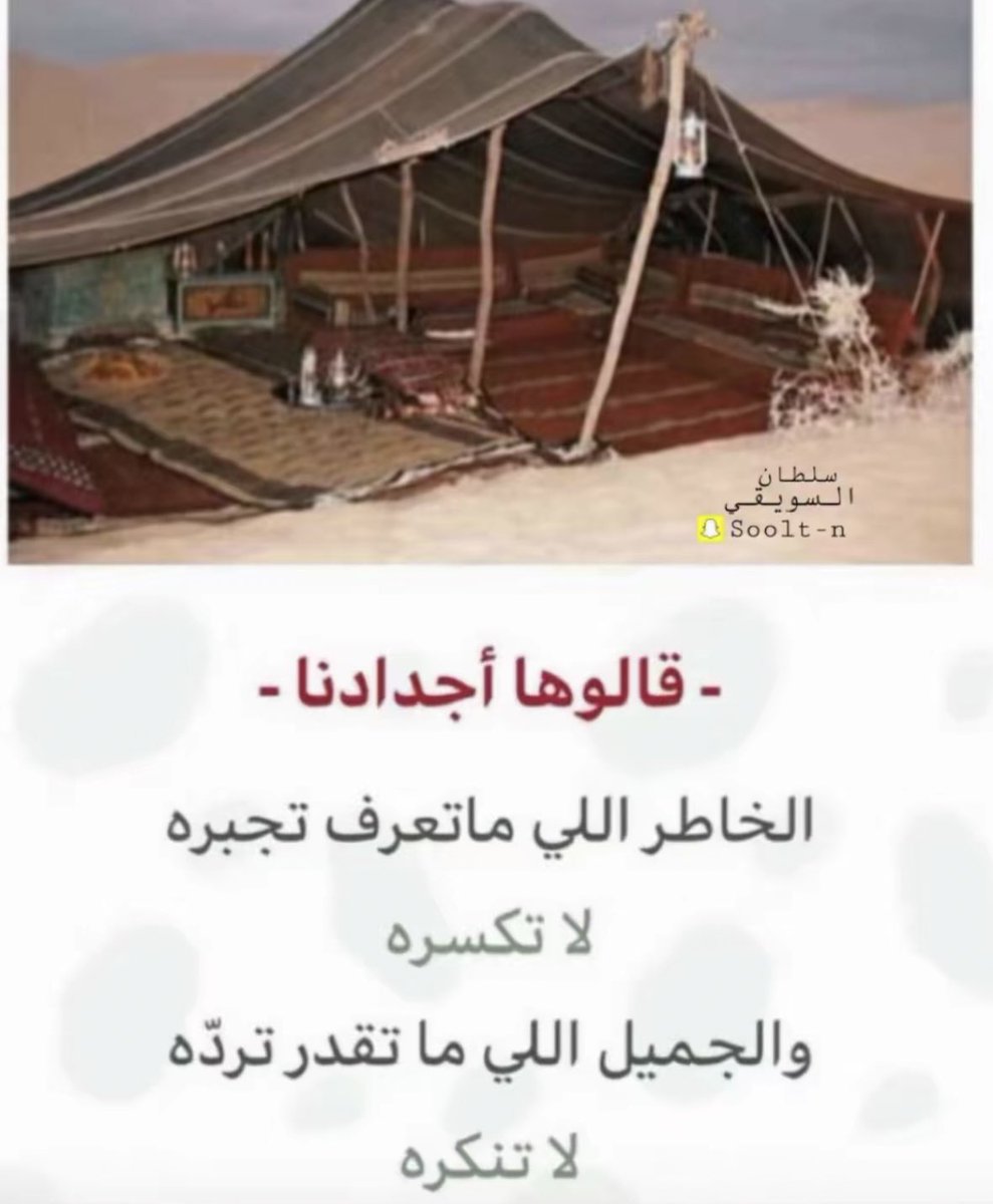 vip خاص نوادرالابل (@vib151515) on Twitter photo 