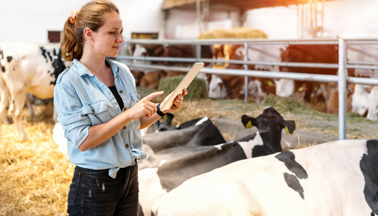 HoardsDairyman's tweet photo. Reduced milk yield, fat production, and fiber digestion are just a few of the symptoms of subacute ruminal acidosis (SARA). This hidden disease can hold back your dairy herd significantly. https://t.co/AhFVyrQJZq https://t.co/gux6vPuBvK