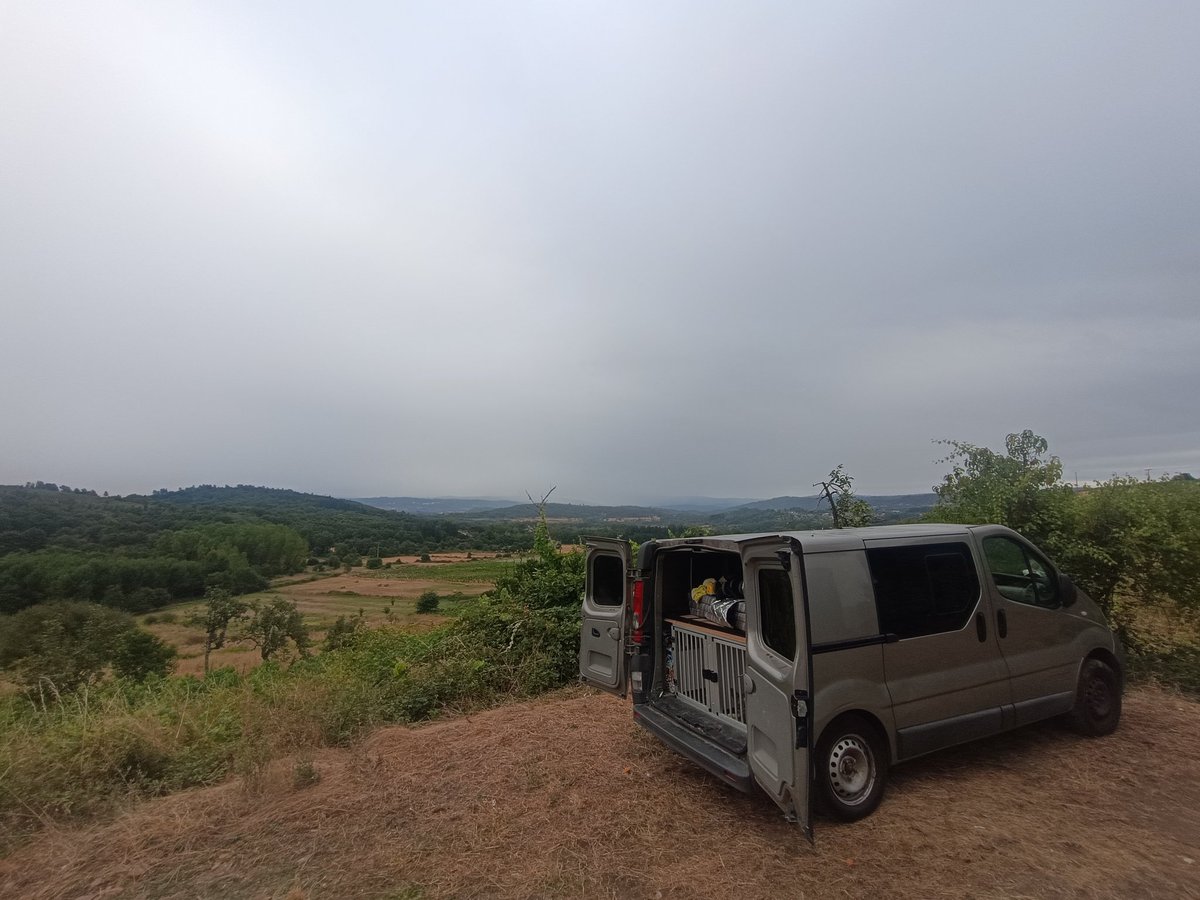 Martin Luther Queen tweet media