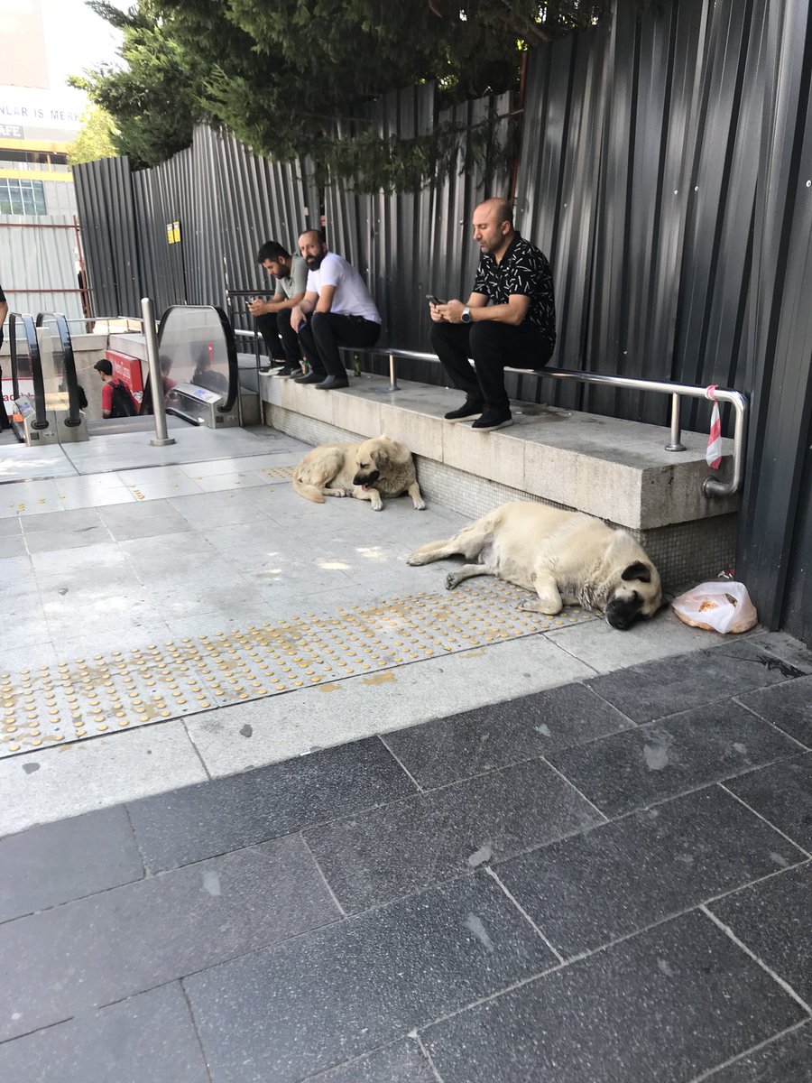 Burası kızılay güvenpark,çıkışı.kanunun uygulanması için,ne yapılması gerekiyor.sayın, Mansur Yavaş başkanım..!!