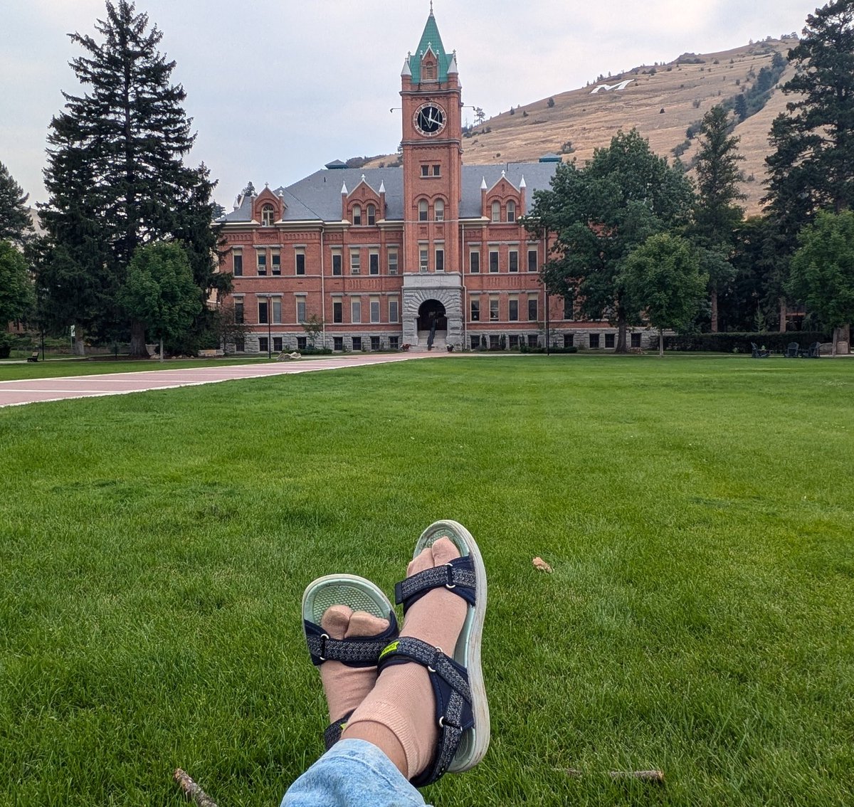 Devi Tejaswini tweet media