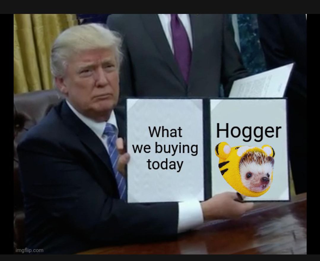 <a href="/mrpunkdoteth/">Mrpunk.eth</a> We can't stop buying $HOGGER!
that's the right Gem for you bros!
Bag some today and smile tomorrow!