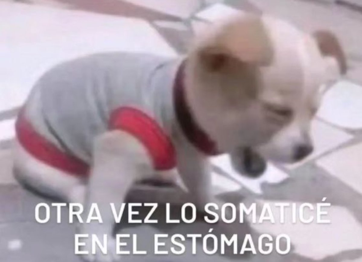 piña sin pizza (@skereunpesado) on Twitter photo 