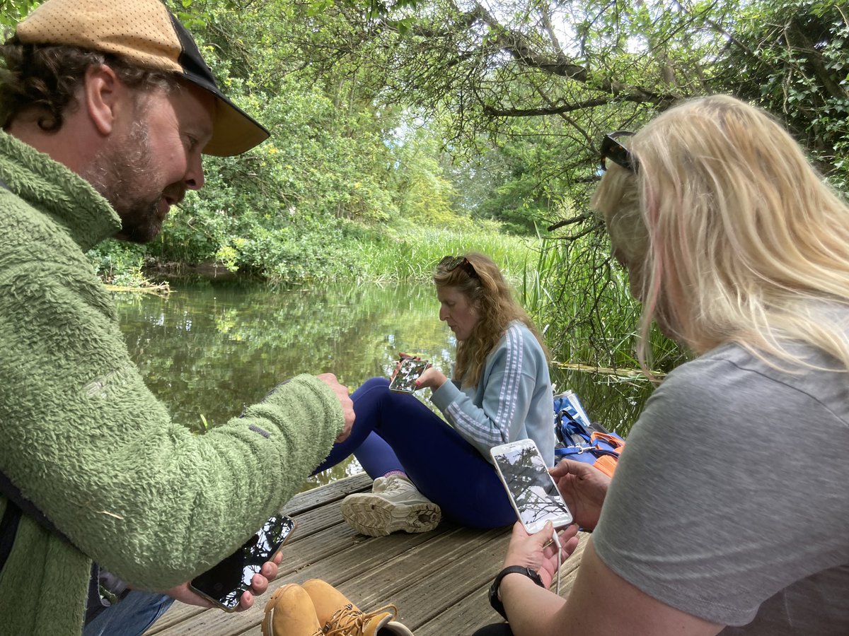 Art Branches tweet media