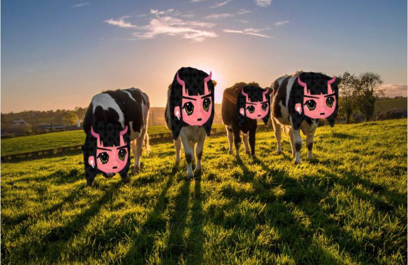 trenchg0blin's tweet photo. @mrpunkdoteth Buying $cow brother . All #certifiedobjectivewinner ‘s are buying it . We are going to achieve our goal we are setting out to obtain. 100m MC MINIMUM #moomoomf https://t.co/yXYg1B5COC
