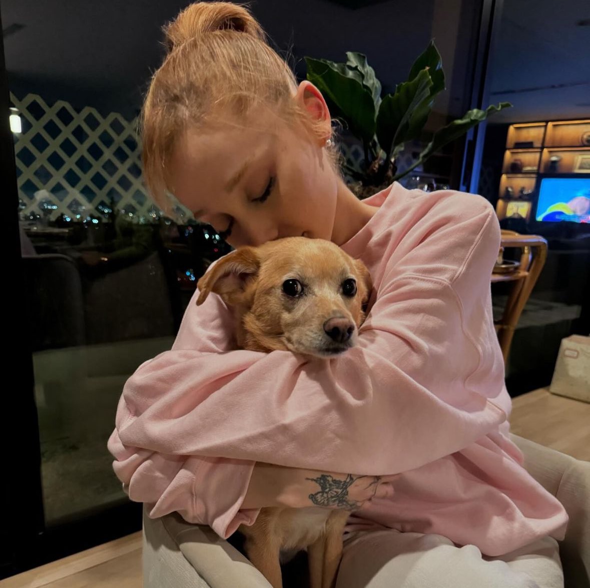 ArianaToday's tweet photo. toulouse 🐕🩷 https://t.co/Y0iLU3Zhej