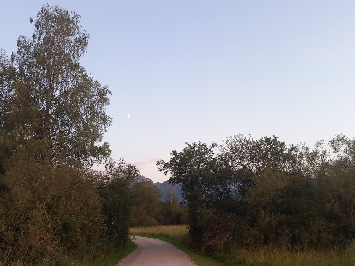 MrGIF4479's tweet photo. #Hopfensee #Füssen #Bavaria #Germany https://t.co/LMqKH4wTXL