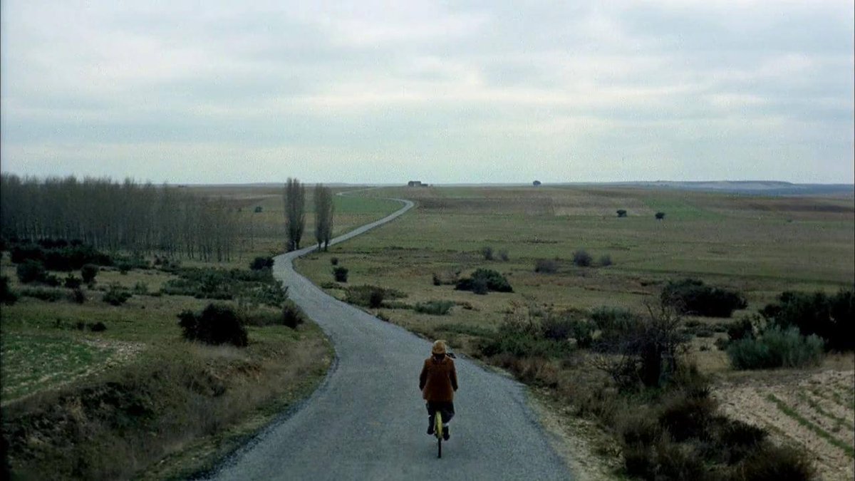¿Un día perfecto? Salir a pasear por Castilla, mirar al cielo y divisar un aguilucho cenizo. Abrir un libro y encontrar un verso cargado de esperanza. Escribir y lograr que una pequeña frase roce el infinito. La perfección es un milagro que casi siempre pasa desapercibido.