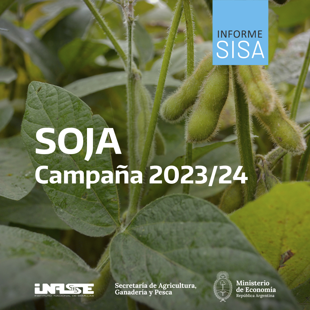 inaseargentina's tweet photo. 📄 En estas placas te compartimos los aspectos más importantes del informe de SOJA realizado a partir del análisis de los datos del Sistema Simplificado de Información Agrícola (SISA) para la campaña 2023-2024.

➡Podés leer el informe completo acá: https://t.co/2MrTdePhVg https://t.co/5Dx9NhLUo0