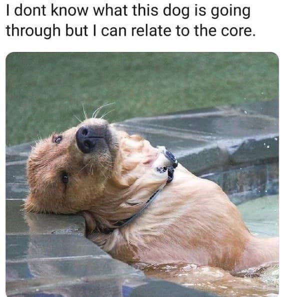 Scott Kern (@yotes30) on Twitter photo 