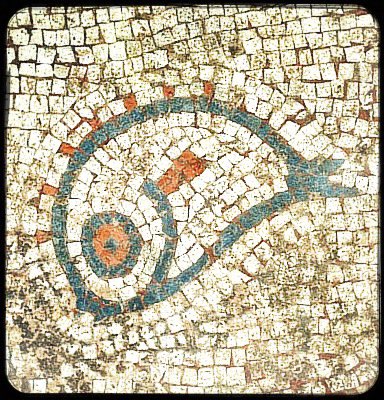 Fat bird-fish here to say: make Twitter nice again! english-heritage.org.uk/wroxeter-excav…