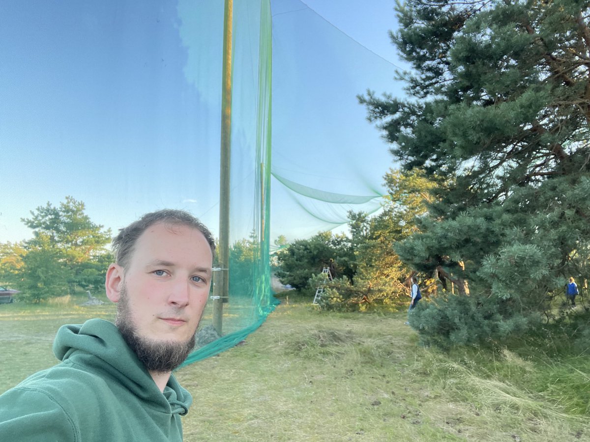 oliverlindecke's tweet photo. #Pape2024 #batmigration Net’s up! https://t.co/c8vi2Bmfyv