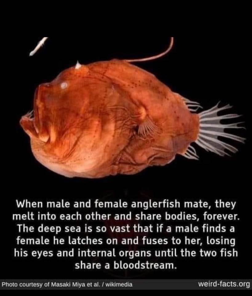 SydDivineTarot's tweet photo. If the love isn’t like this I don’t want it https://t.co/bzZHrPe6fH