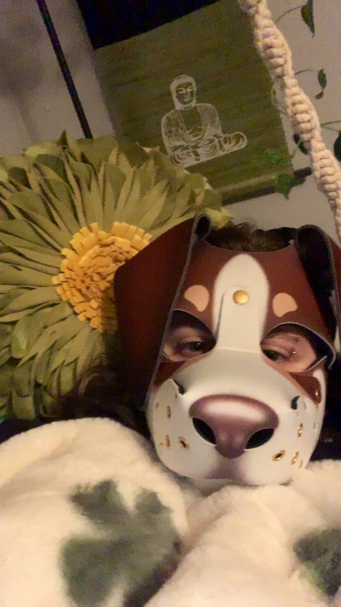 PothosPup's tweet photo. First post while im waiting to finish making my Meet the Artist piece! c: 

#humanpuppyplay #humanpup #grungebunny #puphood #puphoodcommunity #puppyplaycommunity https://t.co/eCbUfiED8N