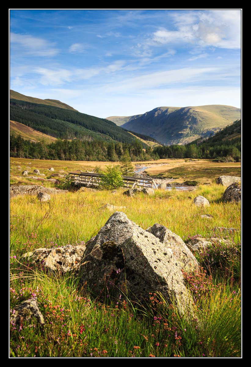 A few photos from Sunday's hike from Glen Doll to Broad Cairn and back.