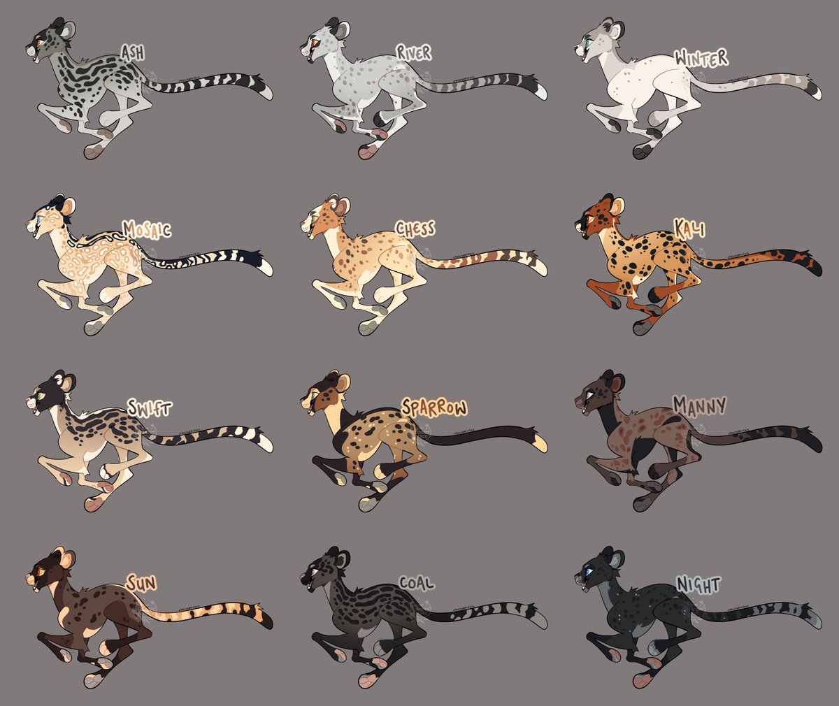 I don't think I've ever made cheetah adoptables before and can't even remember the last time I drew a cheetah 😂 so this was a good exercise! 

Chess was grabbed in the ko-fi pre-sale but the rest of the cheetahs can all be found in my ko-fi shop l/inked below 🐱✨