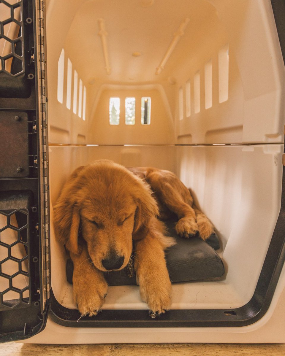 Last call for VIP access to shop the Saskatoon Flyway Series collection before anyone else.

The collection drops on Thursday, August 15 at 10:00 am CT, but our SMS list gets 24 hour early access. Sign up to secure your spot– you don't want to miss this: gunner.com/pages/flyway-s…