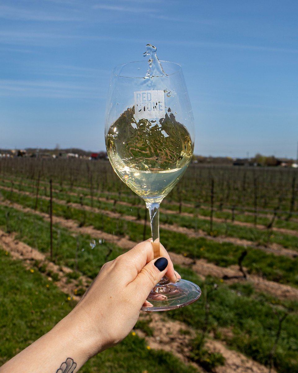 2021 Dry Riesling ⬧ Available in-store and online for $22.95 ⬧ bit.ly/3HATRWQ

"Aromas of orchard and citrus fruits precede a juicy, zesty palate with good mouthfeel, plus some flinty notes and minerality through the finish." 91/100, Tim Pawsey, Wine Align