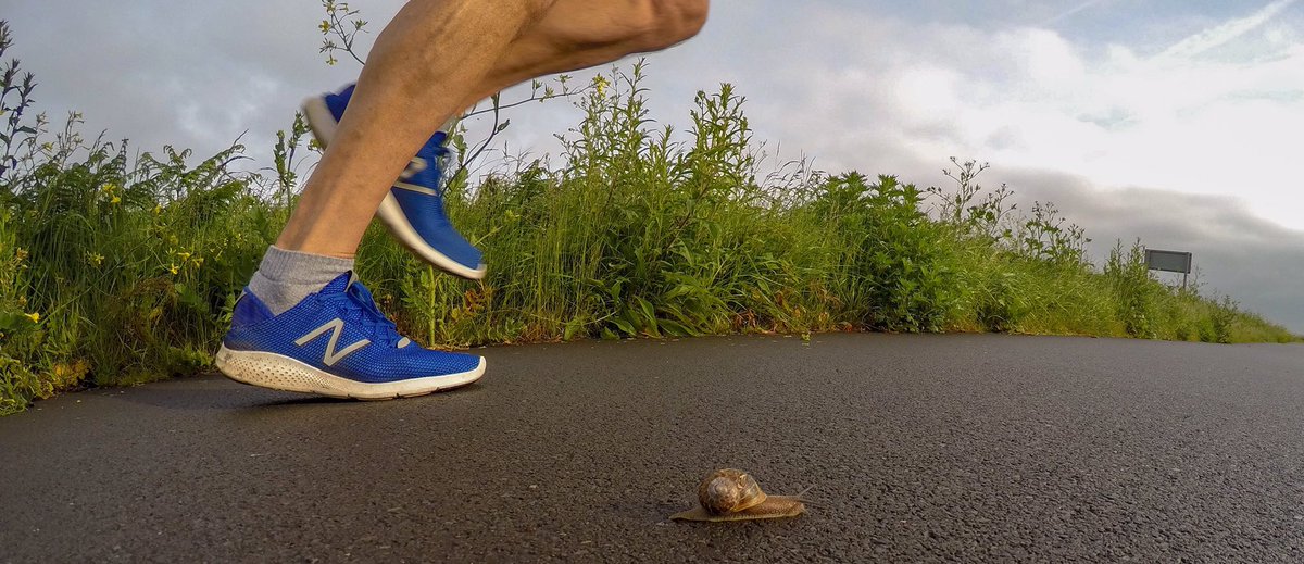 Dr Martin Bedrock tweet media