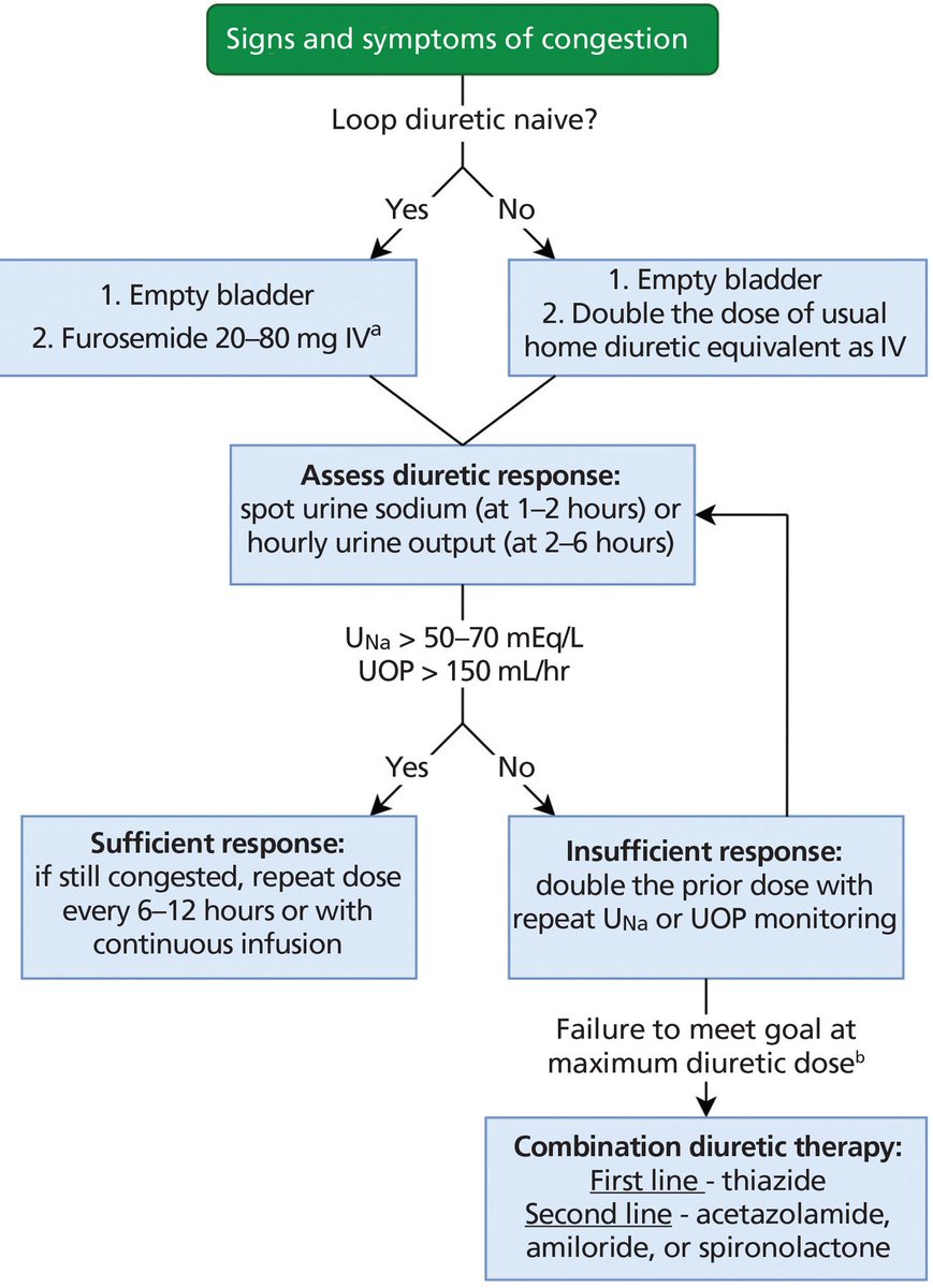 🔴How do we maximize diuresis in #ADHF ? #OpenAccess #2023Review

🔹ccjm.org/content/89/10/…
#cardiotwiteros #medtwitter #meded #medical #CardioEd #CardioTwitter #cardiology #paramedic #ekg #medicine