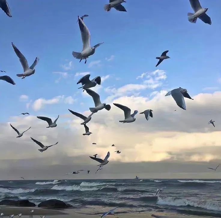 OcasoenelMAR's tweet photo. El mar es la ventana hacia la tranquilidad infinita. https://t.co/hfI6ElPBVI