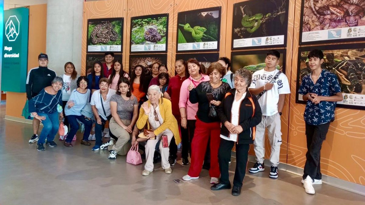 Todos_Somos_PC's tweet photo. ¡Destinos increíbles! 🚍✨

Conoce #LaCiudadQueLoTieneTodo de la mano de Participación Ciudadana y @turismocdmx en los recorridos gratuitos de #ColibríViajero, una iniciativa del @GobCDMX. 🏙️

¿Listo para la próxima salida? ¡No te lo pierdas! 🗺️🎊 https://t.co/z7ytXIrwAD