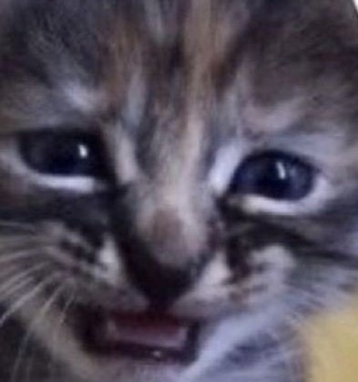 eu  odeio  quando  alguém   deduz  algo  sobre  mim  ou  o  motivo  pelo  qual  eu  fiz  algo,   Voce  nao  me  conhece ,  nem  eu me  conheço  , quem  voce  acha  ki  eh ?