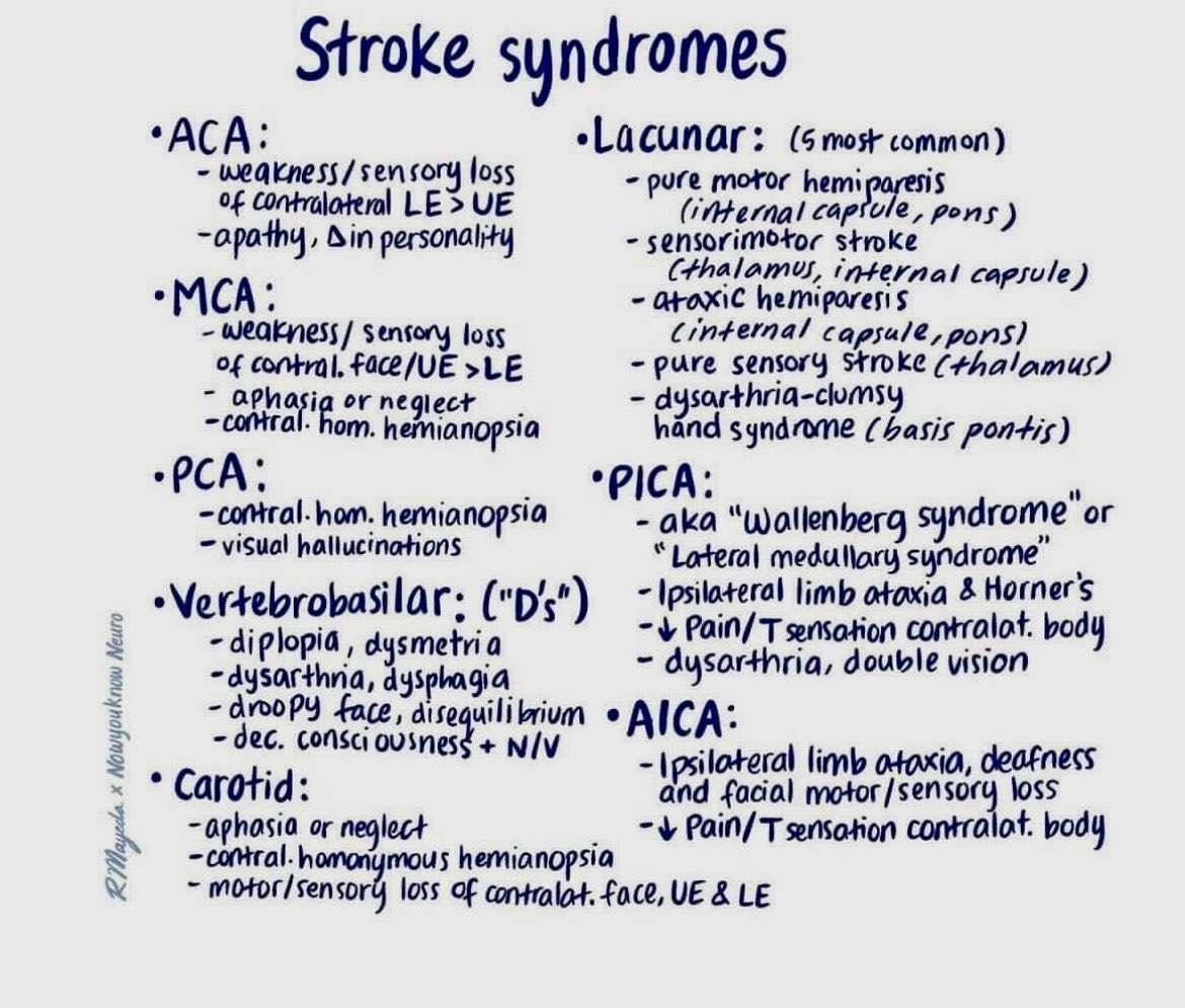 Stroke syndromes