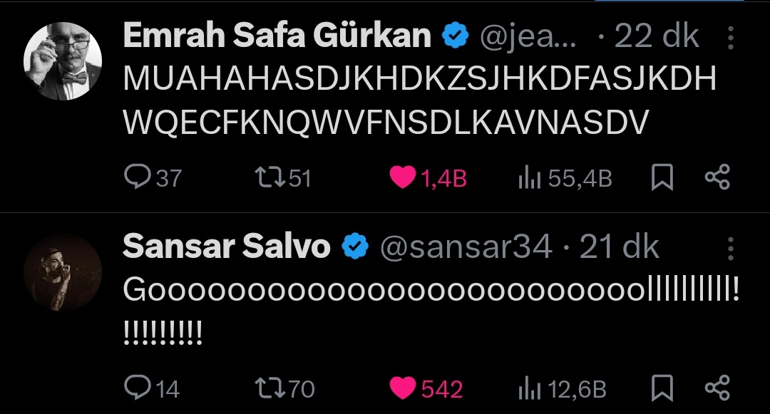 taraftar yelpazesi yarıyor aq