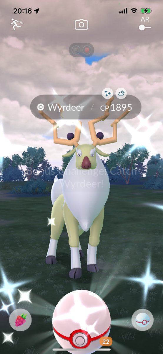 Peddy180 tweet media