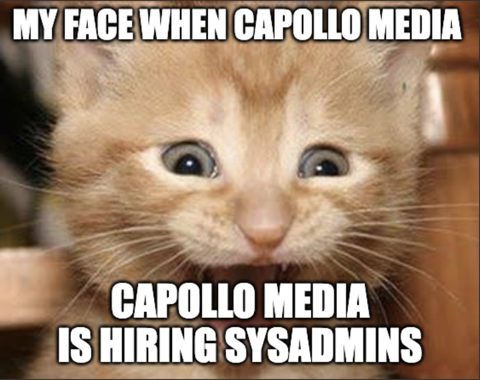 Holy crap Lois... we're hiring??!?1?!
jobs.capollomedia.com/4da3486e56c341…