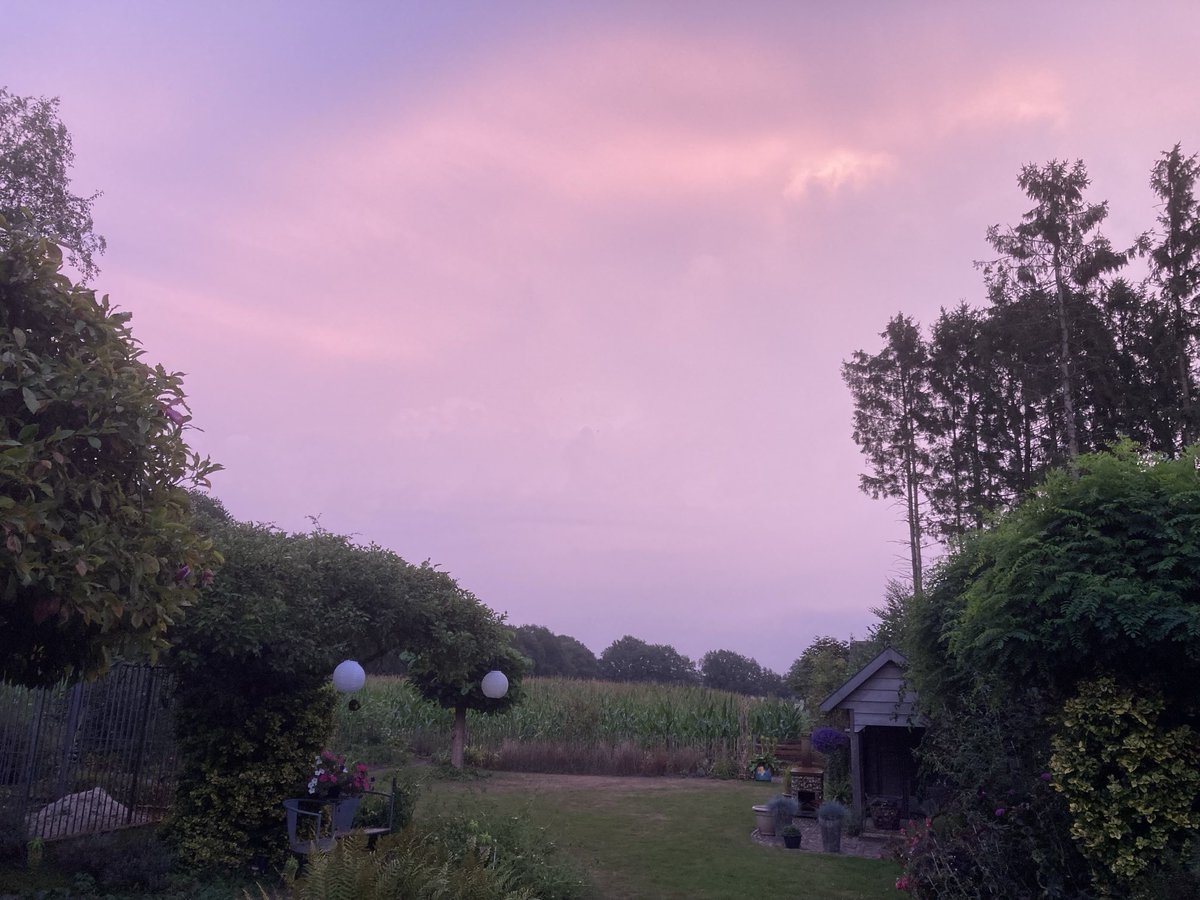 Harry Wollerich tweet media