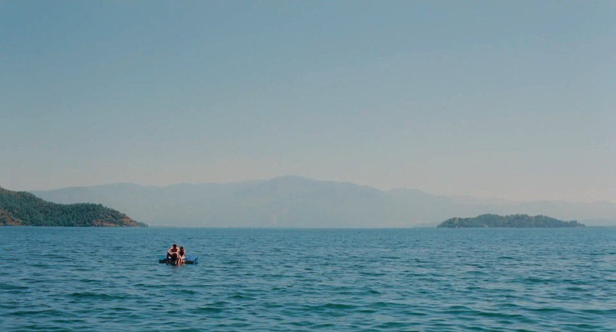 cinesthetic. tweet media