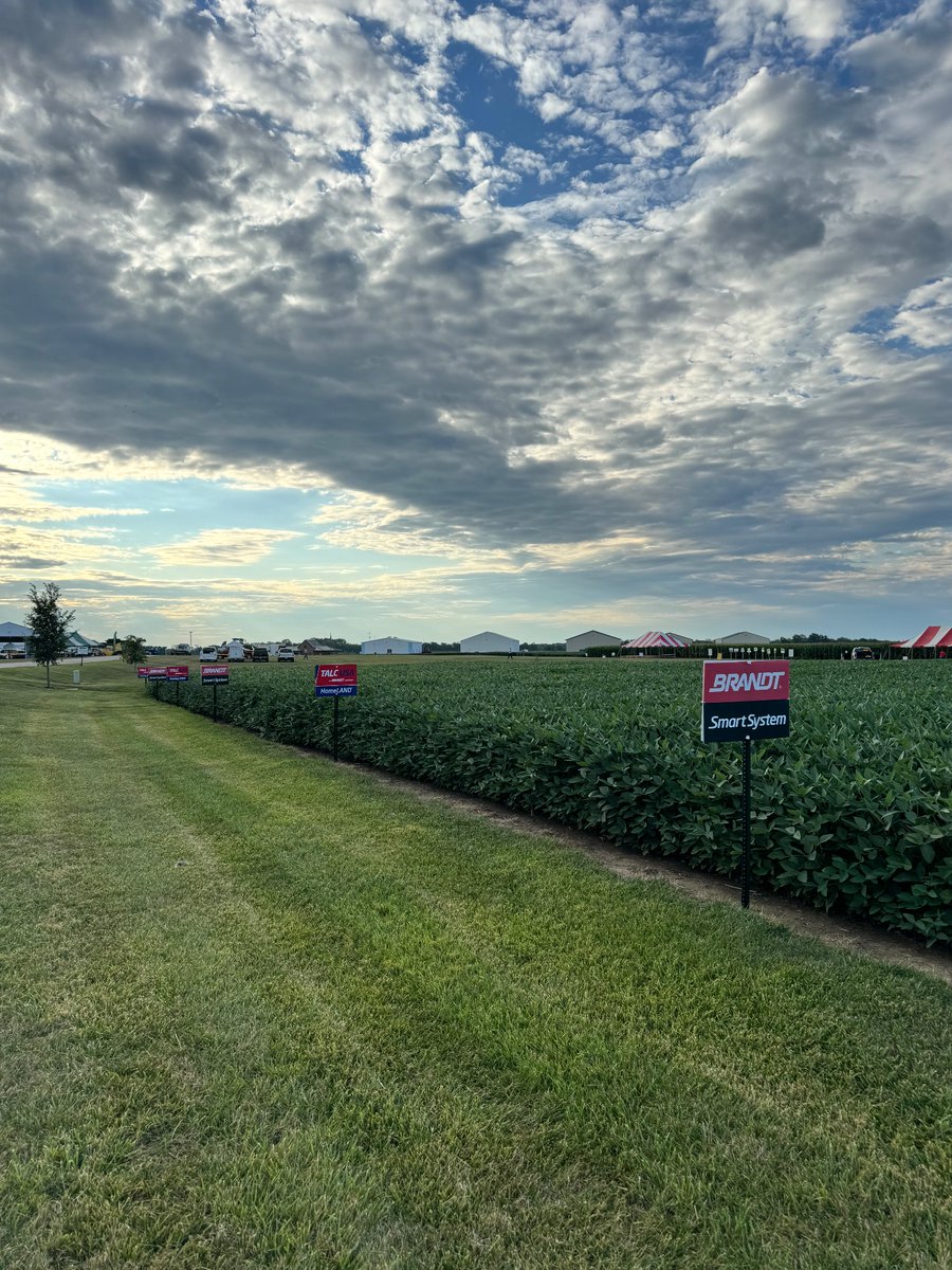 Bergefurdsfarm's tweet photo. Great time at the Southwest Ohio Corn Growers Agronomy Field Day showcasing our BRANDT/Talc USA Soybean research trials. Thanks to BRANDT Senior Agronomist Ed Corrigan for sharing his research-based high yield cropping programs. https://t.co/U2nx2WPSKR