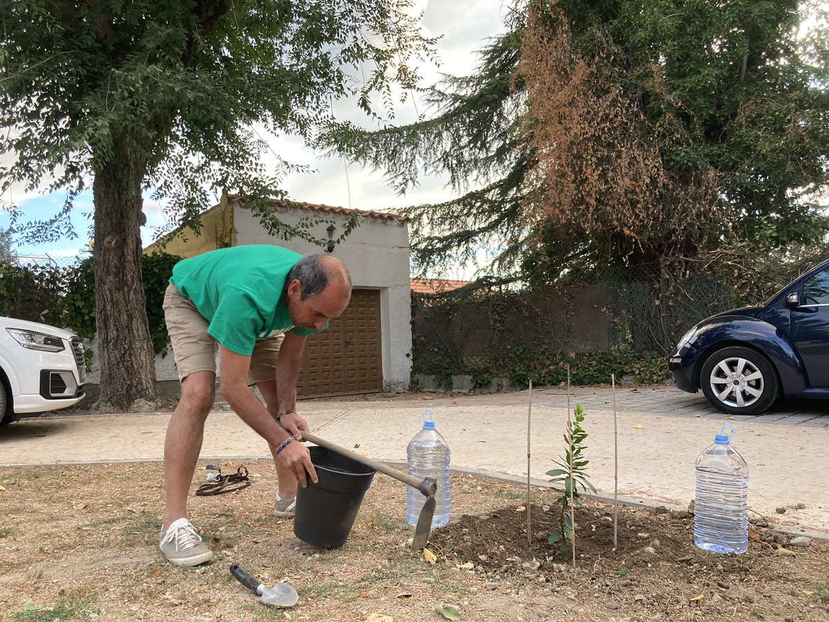 EntornoLM's tweet photo. #13yMartes, ni te cases ni te embarques. Mejor planta un árbol en un espacio público. En este caso un #madroño
Nuestro socio, Eduardo, cuidando de lo que es de todos en la plaza de la capilla del @aytolosmolinos https://t.co/k6gKLjBxWm